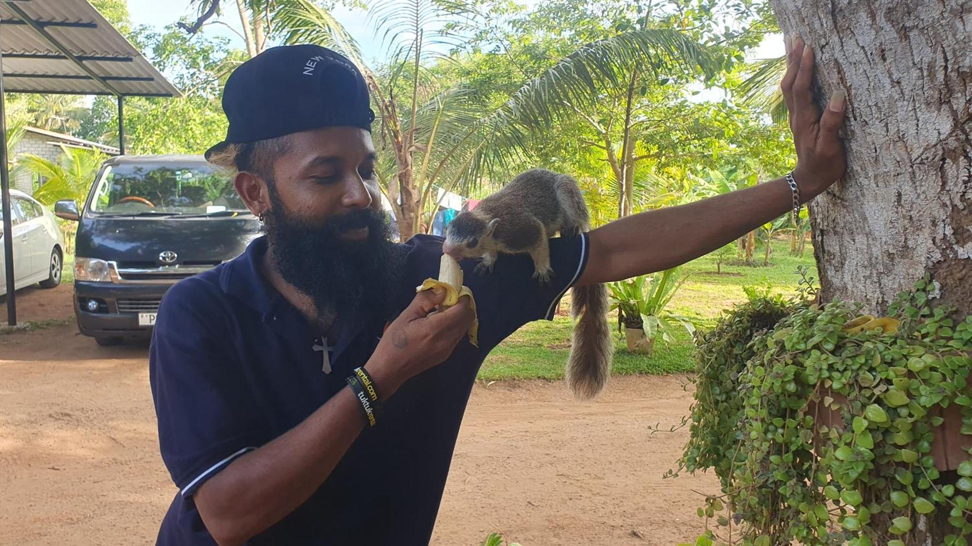 Ceylon Resort Wilpattu Dış mekan fotoğraf