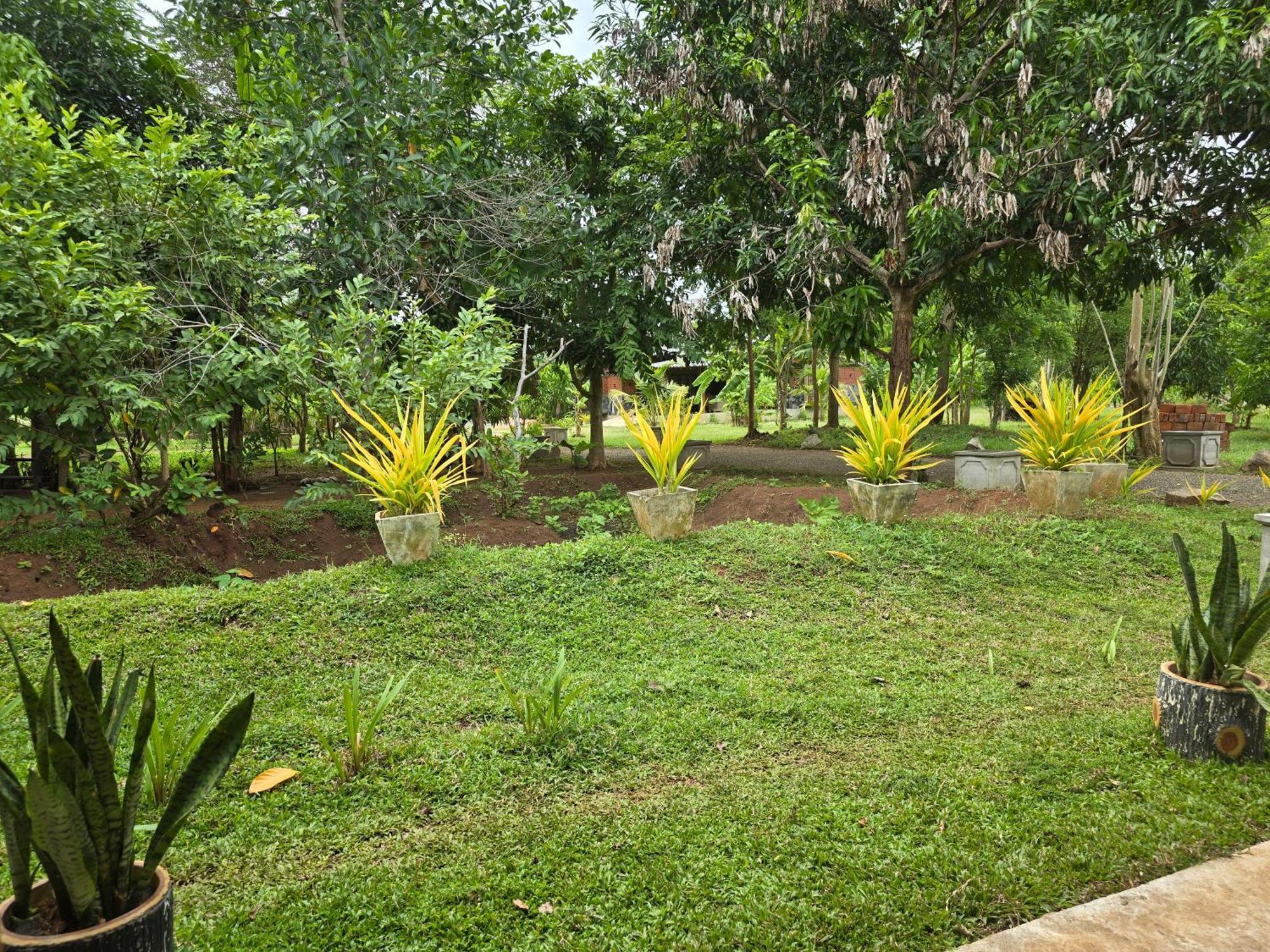 Ceylon Resort Wilpattu Dış mekan fotoğraf